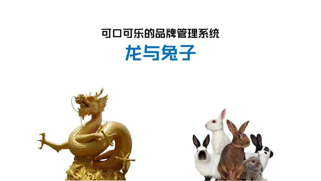 皇冠体育_品牌组合战略：企业如何规划并实施多品牌皇冠体育？