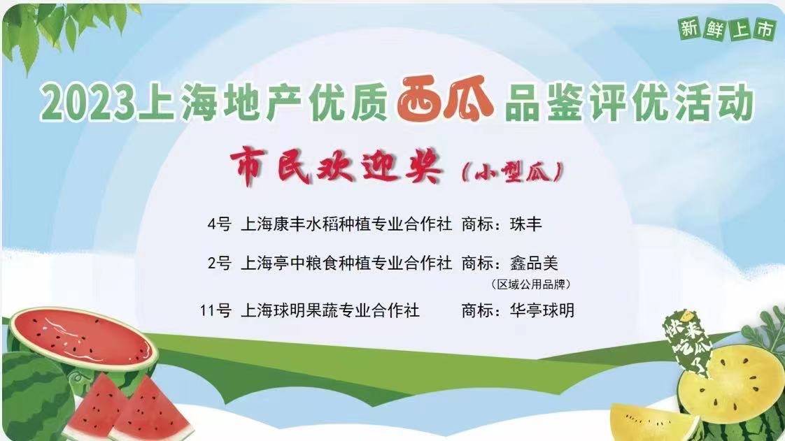 welcome皇冠注册_今年金奖西瓜出炉welcome皇冠注册，上海举办2023年上海地产优质西瓜品鉴评优和展示活动