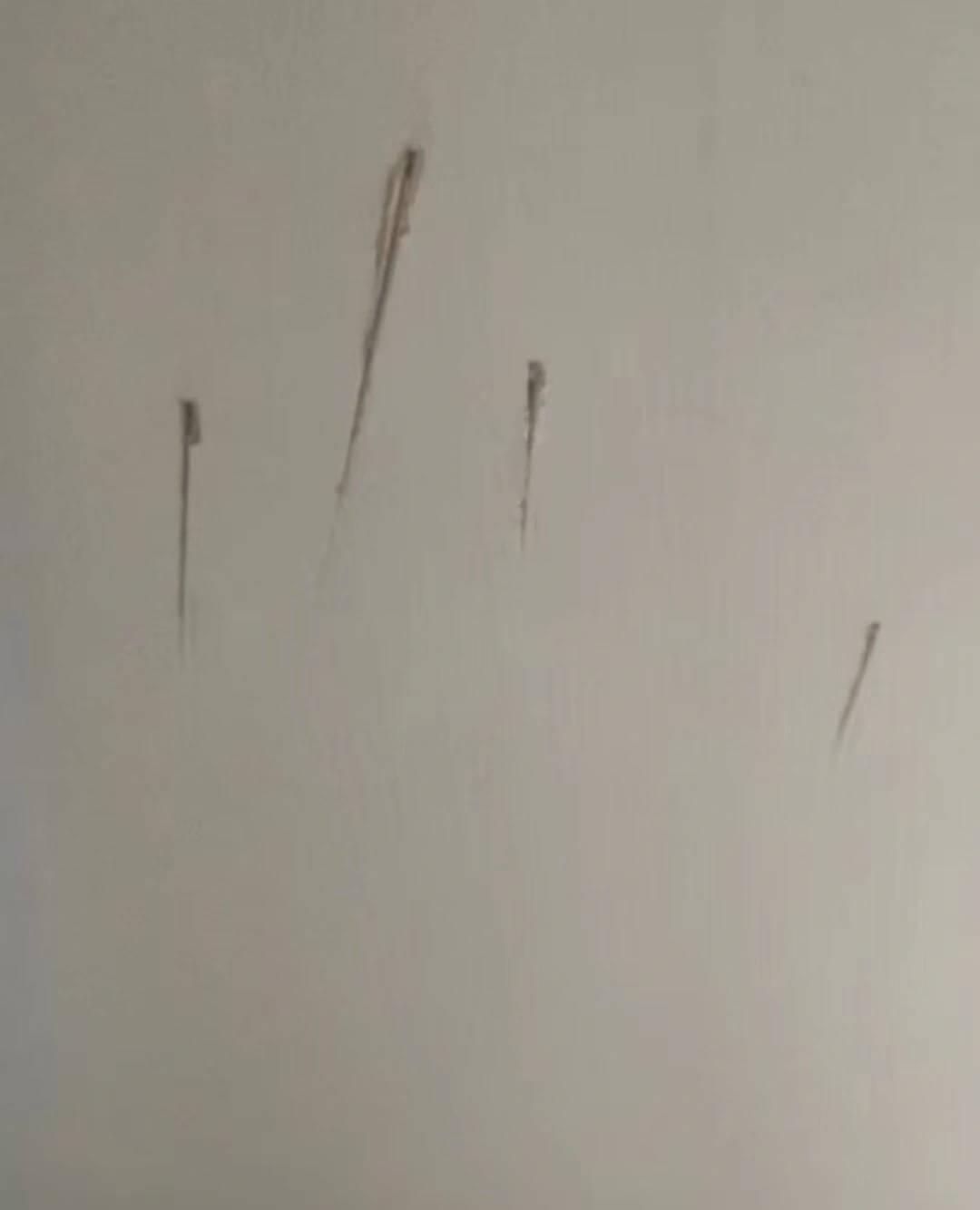 皇冠信用網代理
_陕西一护士被同居男友杀害皇冠信用網代理
，日记称长久遭受暴力威胁，家属希望追加虐待罪名，最新进展