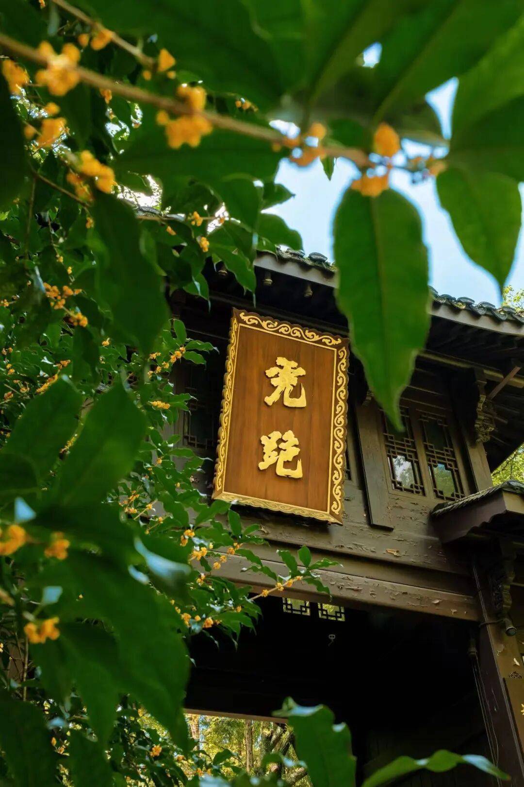 皇冠信用网在线申请_进度达70%!杭州即将进入全盛期皇冠信用网在线申请,别错过!