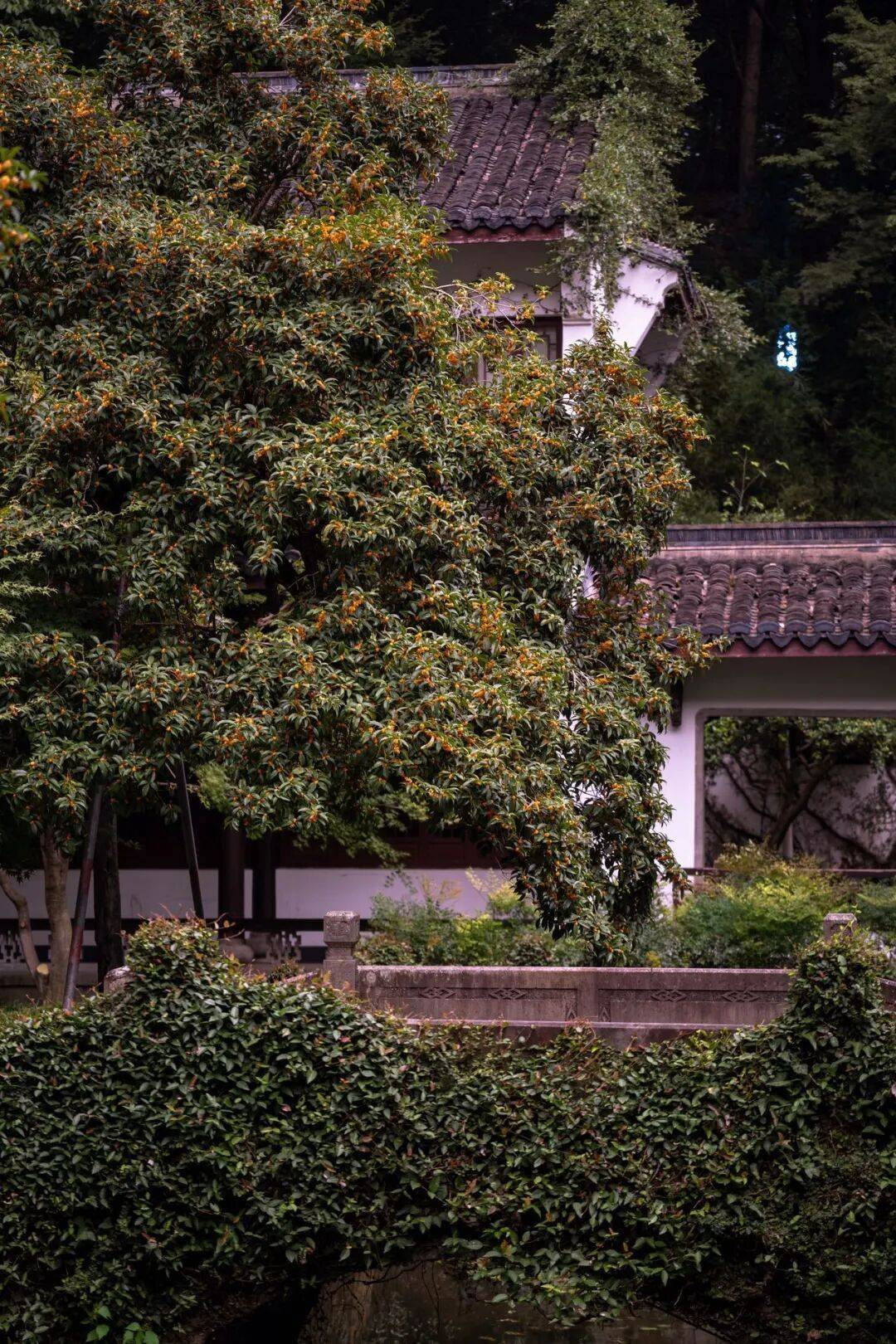 皇冠信用网在线申请_进度达70%!杭州即将进入全盛期皇冠信用网在线申请,别错过!