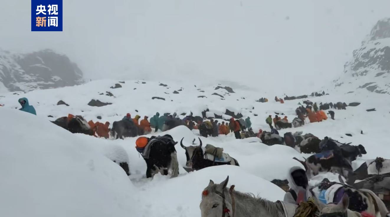 信用网皇冠申请注册_西藏定日县嘎玛沟徒步游客已得到妥善安置