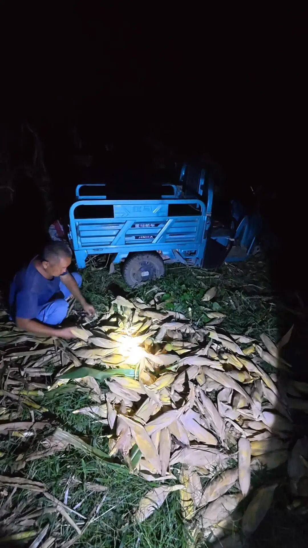 皇冠信用網代理流程_山东一大学生国庆8天假掰了7天半玉米皇冠信用網代理流程,本人称“自己多弯一次腰父母就少吃一点苦”