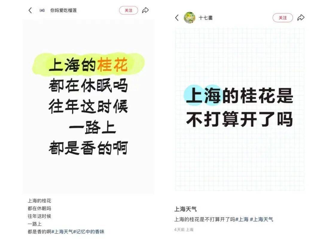 皇冠信用网登123出租_上海:节后气温将冲高至33℃!今夏已长达150天皇冠信用网登123出租,玉兰蔷薇樱花荷花全开了……