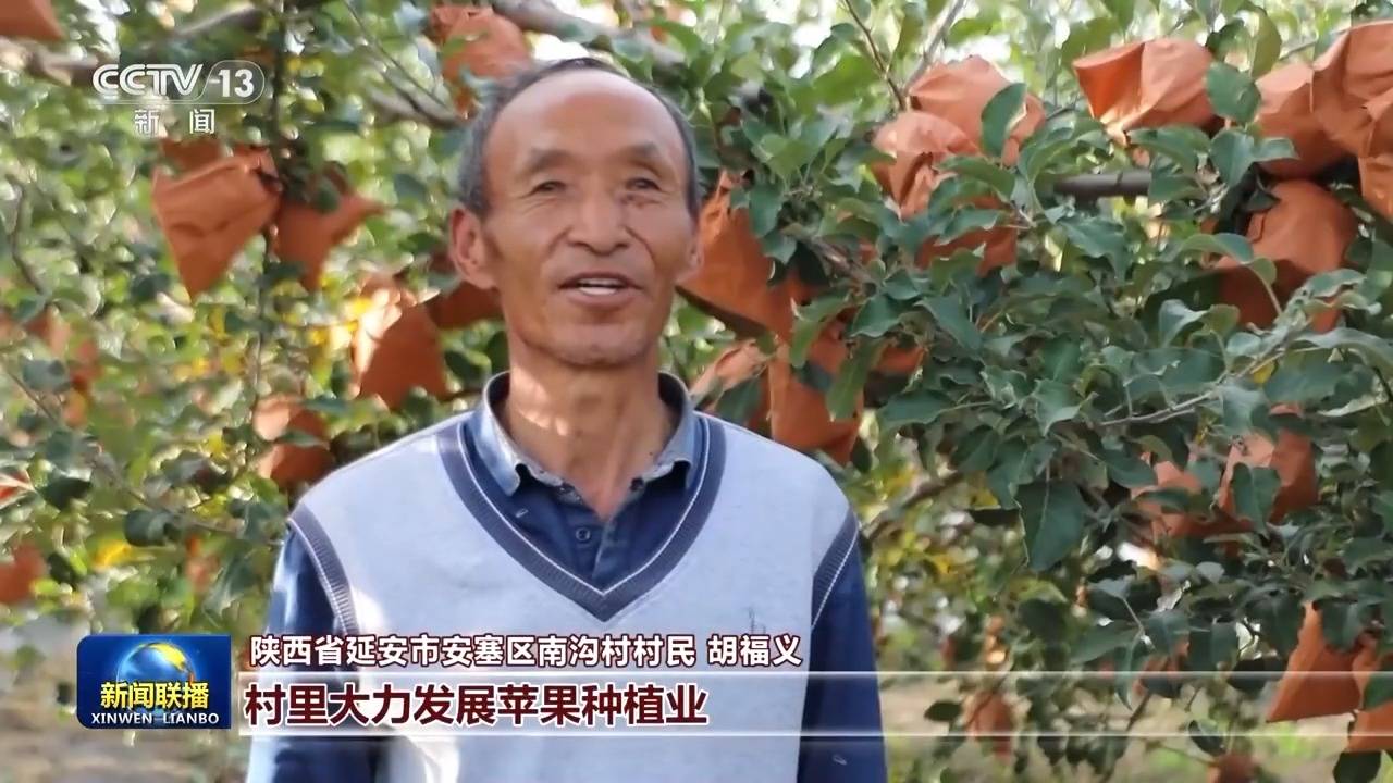 皇冠信用盘登_新思想引领新征程丨绘就乡村全面振兴壮美画卷