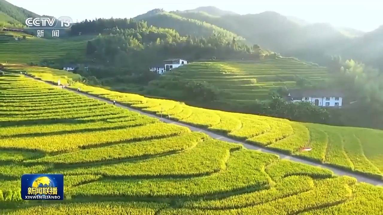 皇冠信用盘登_新思想引领新征程丨绘就乡村全面振兴壮美画卷