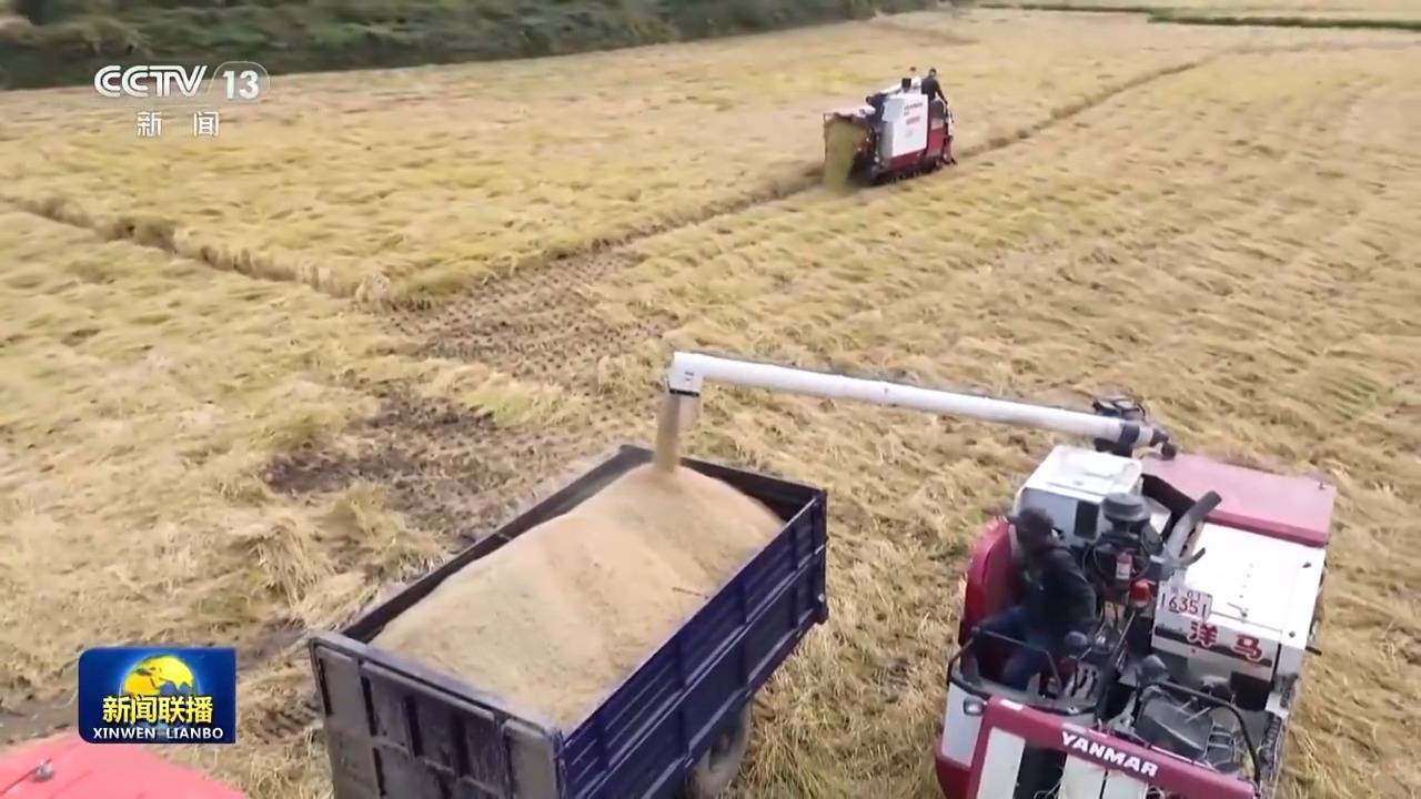 皇冠信用盘登_新思想引领新征程丨绘就乡村全面振兴壮美画卷