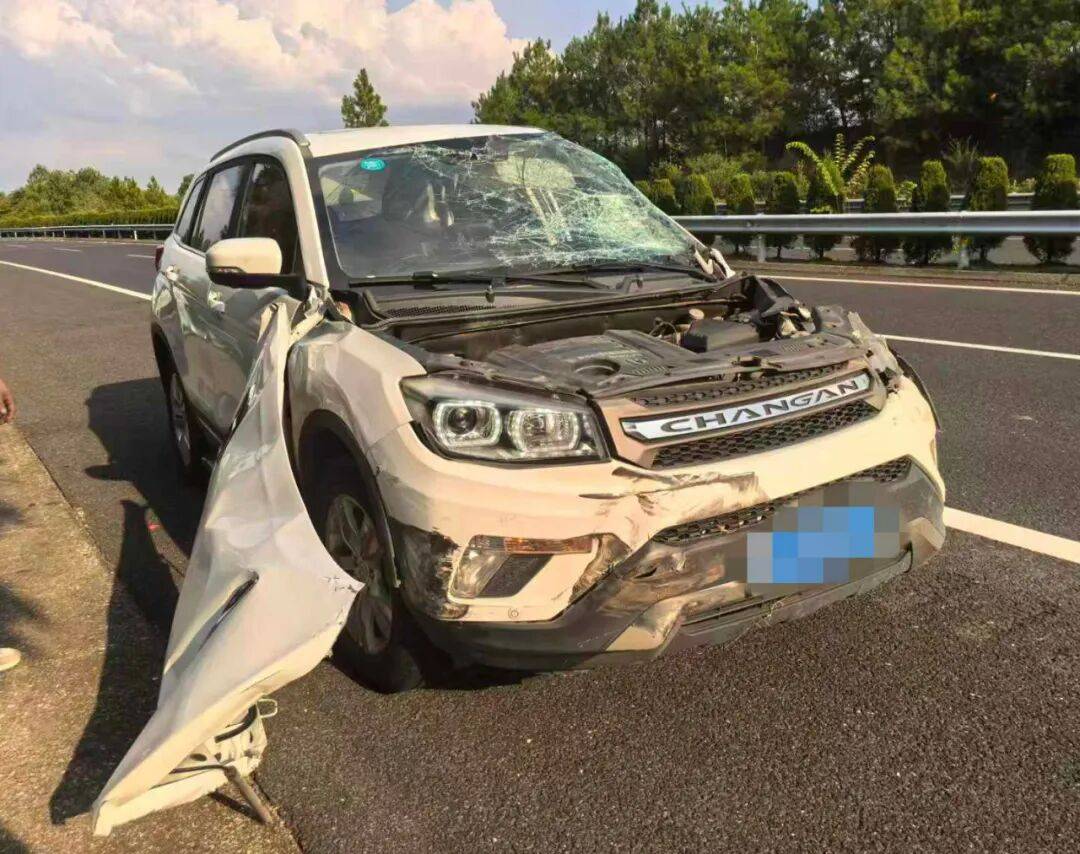 皇冠信用网在线注册_“我撒谎天打雷劈！”男子高速突然强行变道致翻车皇冠信用网在线注册，反诬赖对方