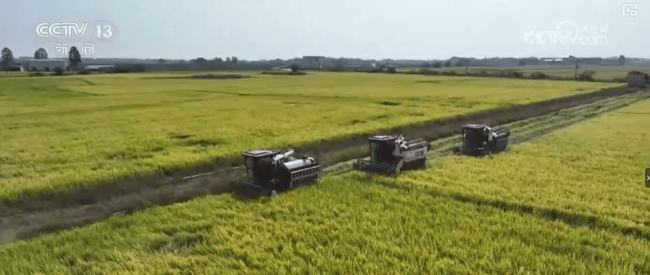 怎么申请皇冠信用盘
_“你们只需对俄开战怎么申请皇冠信用盘
，要坚持10天”，对话曝光！【看世界·新闻早知道】