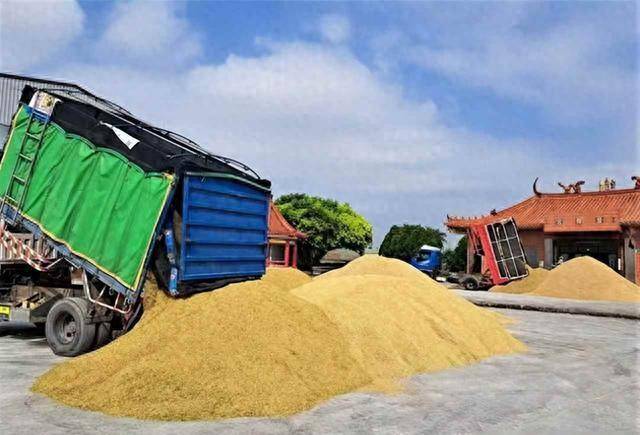 皇冠信用网正网
_阿根廷继续卖中国大豆皇冠信用网正网
，美国放狠话，我使馆回应亮了：美方管不着