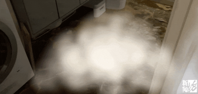 皇冠信用网登3代理
_上海一业主推开家门瞬间懵了皇冠信用网登3代理
!精装房竟成“化粪池”……