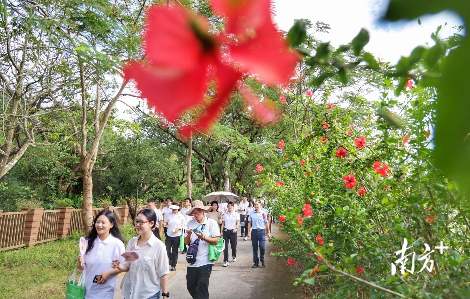 皇冠信用盘会员怎么开通
_中山城建集团“连心桥”移交皇冠信用盘会员怎么开通
，村企共建绘就桂南新画卷