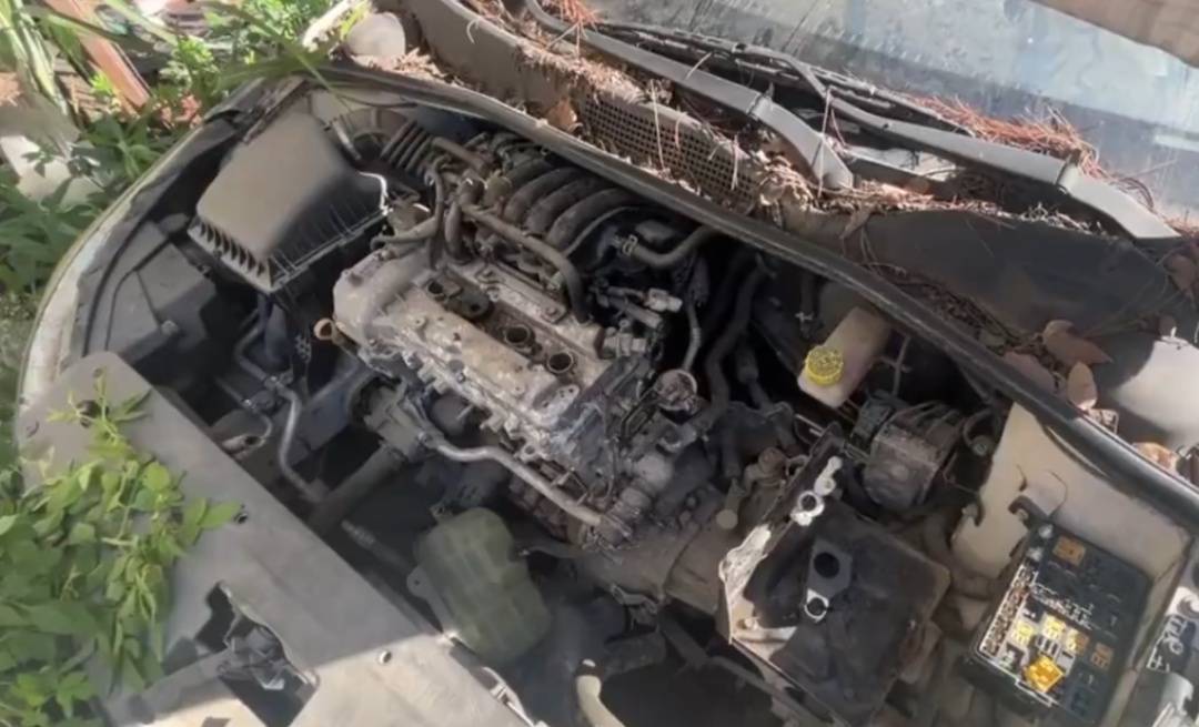 皇冠信用网平台出租
_浙江男子把私家车停路边两年皇冠信用网平台出租
，一次也没去看过！如今要用车时傻眼：还能这样？