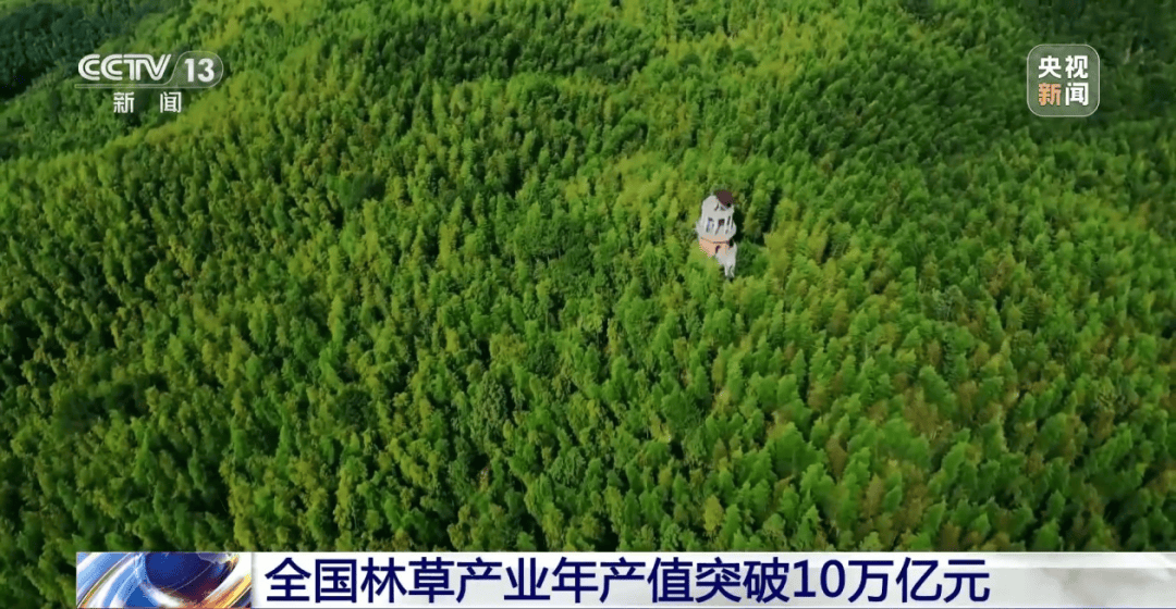 网上买球怎么买
_巴基斯坦利用中国技术向美赠送稀土网上买球怎么买
？中方回应【看世界·新闻早知道】