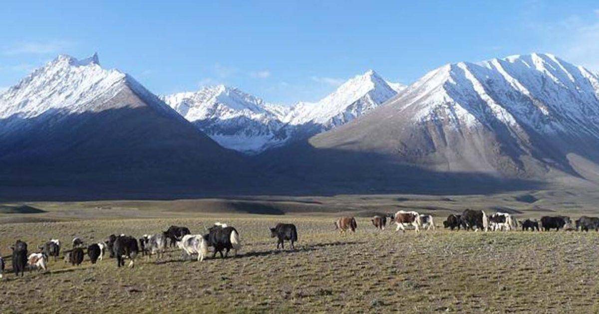 皇冠信用网如何申请
_与巴铁开打后皇冠信用网如何申请
，阿富汗投了印度：中国家门口的瓦罕走廊，被人盯上