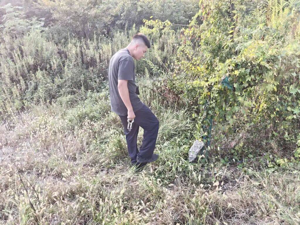 皇冠信用網可以占几成
_浙江一姑娘以奶茶为记号皇冠信用網可以占几成
，竟然在草丛里藏了11万现金！