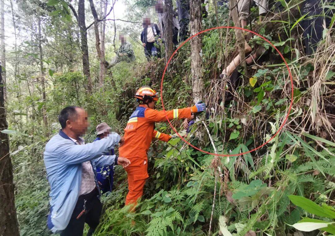 皇冠登3新2管理
_93岁老人进山失联皇冠登3新2管理
，两天后发现他倒挂在树杈上苦撑……