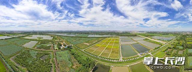 皇冠信用網登3代理
_荒滩变绿洲 湖畔起乐园｜一江碧水向东流