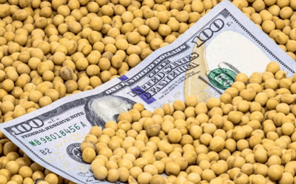 皇冠信用網代理
_特朗普紧急发文皇冠信用網代理
，对中国已做好最坏打算，或禁买中国食用油？提醒忠实盟友牢牢记住一点