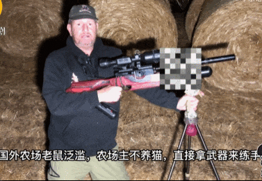 世界杯信用网正网
_头部中弹！近日安徽18岁男孩深夜遭遇枪击世界杯信用网正网
，枪是从哪来的？