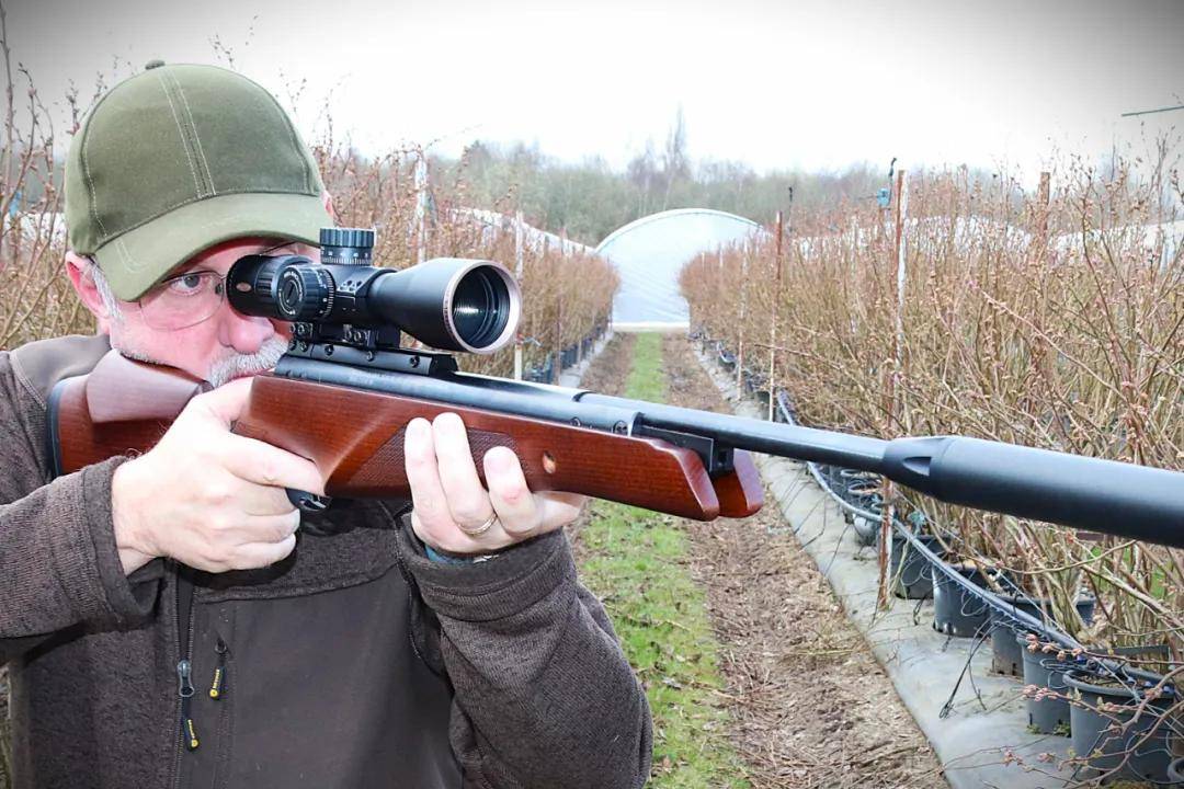 世界杯信用网正网
_头部中弹！近日安徽18岁男孩深夜遭遇枪击世界杯信用网正网
，枪是从哪来的？