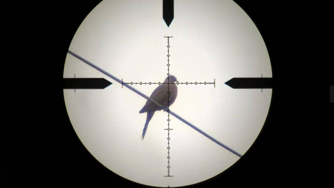 世界杯信用网正网
_头部中弹！近日安徽18岁男孩深夜遭遇枪击世界杯信用网正网
，枪是从哪来的？