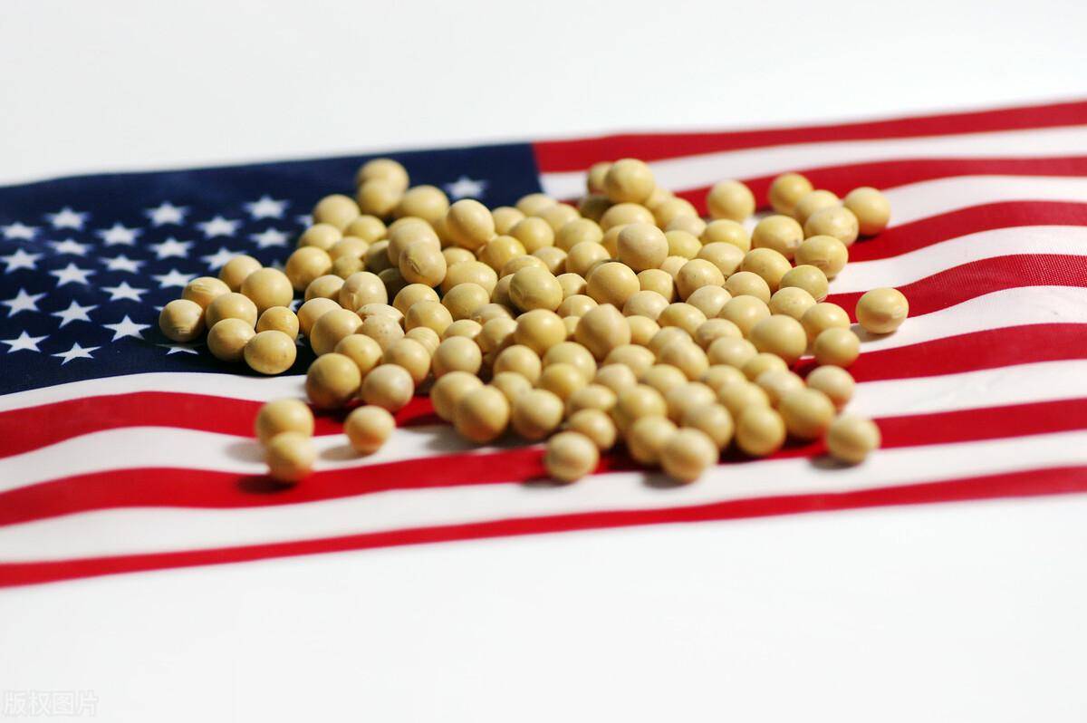 足球盘口出租
_43万吨美国大豆将运往中国足球盘口出租
，贝森特放话：下周签协议，中国将买1200万吨大豆！