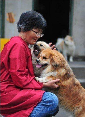 登3代理出租
_合肥卖房救助流浪狗的魏阿姨离世登3代理出租
，病中仍然惦记着基地的600只流浪狗，工人：不敢相信世上还有这样执着的人