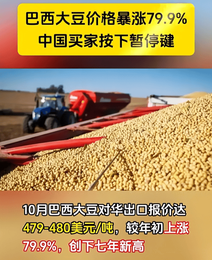 足球信用盘哪里有
_反制升级了!巴西大豆被中国停购后足球信用盘哪里有
,转身就对中企下狠手,中方亮明态度