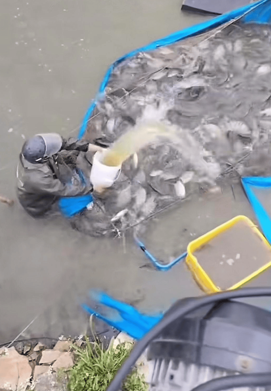 彩票信用盘出租
_水产市场“麻醉鱼”调查:有商家称麻药有味会换水再卖彩票信用盘出租
,有无危害尚不明,出台监管措施尚缺理论依据