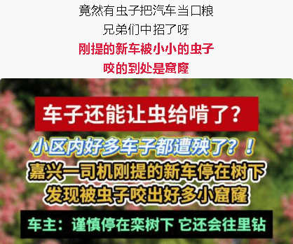 皇冠会员如何申请
_汽车被虫子啃得都是窟窿皇冠会员如何申请
，“一边咬一边往里钻”！很多人中招