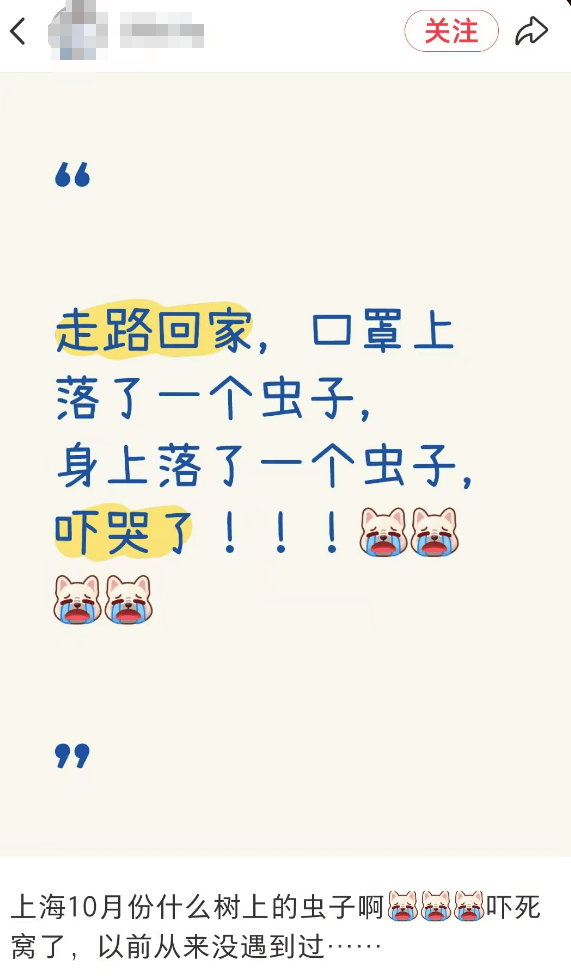 皇冠会员如何申请
_汽车被虫子啃得都是窟窿皇冠会员如何申请
，“一边咬一边往里钻”！很多人中招