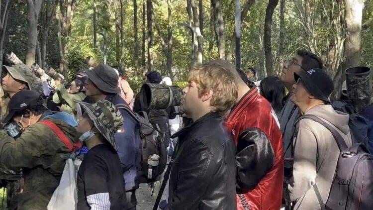 如何代理皇冠信用盘
_百年罕见!首次在上海被目击如何代理皇冠信用盘
,有人专门从北京“打飞的”赶来