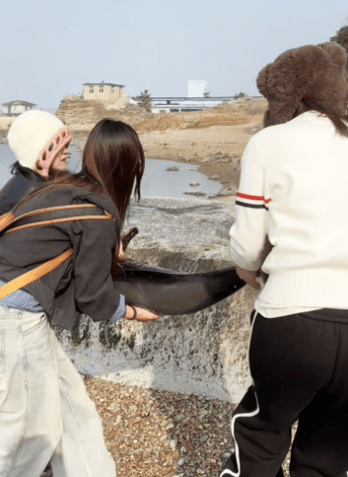 皇冠信用盘网址
_女大学生在大连海边拍摄素材皇冠信用盘网址
，却意外发现已死亡的它