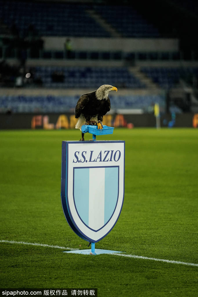 布鲁克林篮网 vs 夏洛特黄蜂_法比奥双响助力国安布鲁克林篮网 vs 夏洛特黄蜂，2-0击败河南进军足协杯决赛！