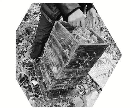 奥地利足球世界杯_两派蜜蜂打群架奥地利足球世界杯，伤亡惨重 民警：别打了，赔钱赔蜂蜜