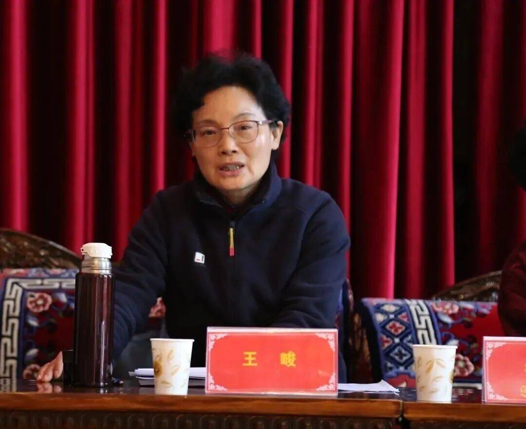 杯哥伦比亚乙组联赛_打虎杯哥伦比亚乙组联赛！王峻任上被查