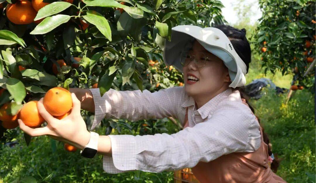 皇冠信用网出租足球_考研失败、工作失业皇冠信用网出租足球,95后情侣回成都换赛道火了,全网追着买!她说:不是爽文逆袭