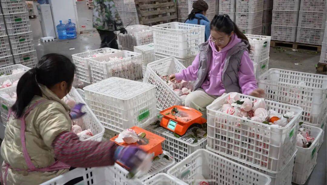 皇冠信用网出租足球_考研失败、工作失业皇冠信用网出租足球,95后情侣回成都换赛道火了,全网追着买!她说:不是爽文逆袭