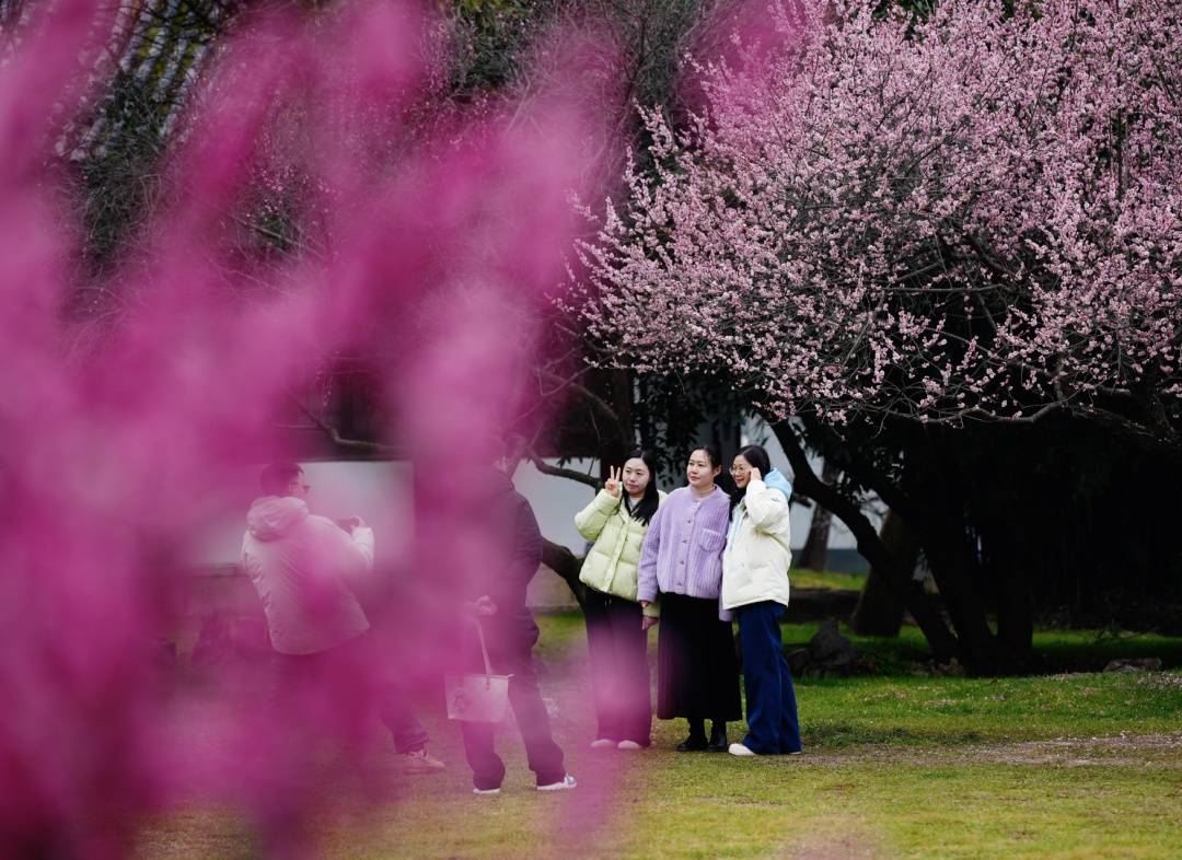 皇冠信用平台出租出售_直冲24℃！武汉多地提前出现皇冠信用平台出租出售，“过年就没见过”