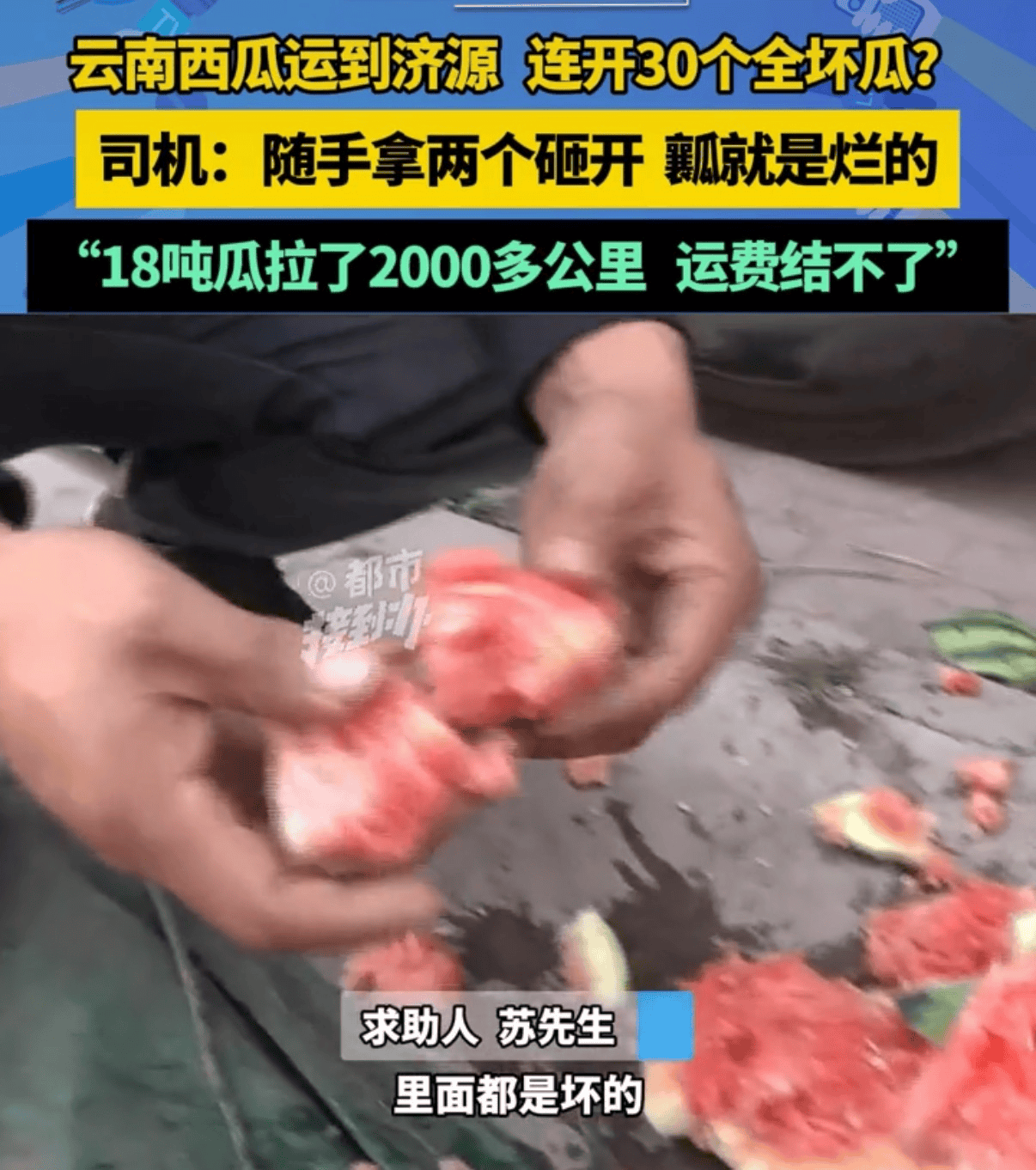 皇冠信用网登0_18吨西瓜连开30个全是坏瓜皇冠信用网登0?云南勐遮镇:联合多部门加大各环节监管