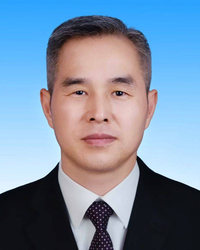 巴西乙组联赛
_新一届新疆维吾尔自治区党委常委简历